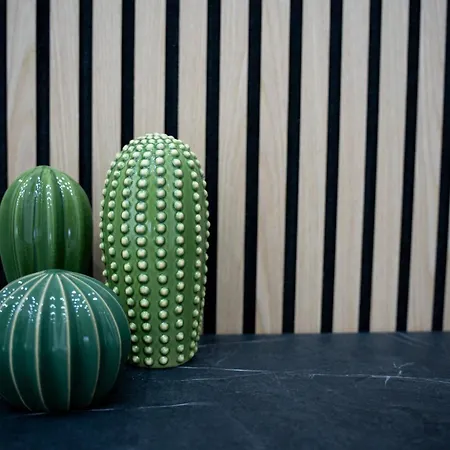 Maison Mago בית נופש *